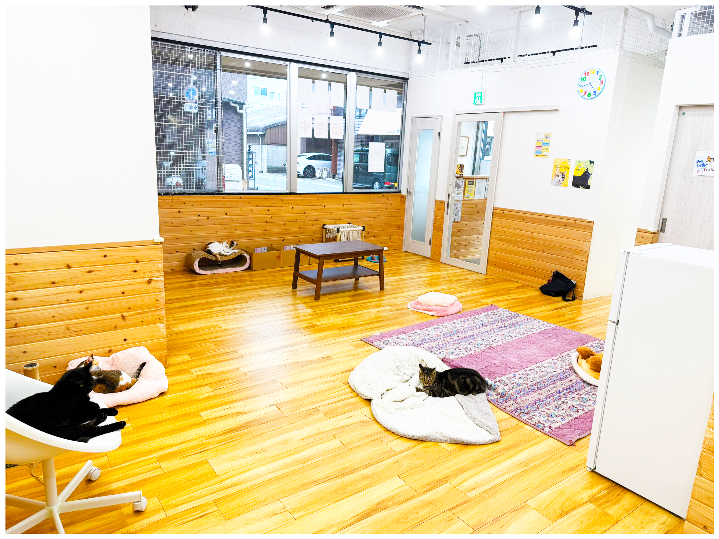 就労継続支援B型事業所カラーズの店舗内風景です。あたたかみのある優しい空間です